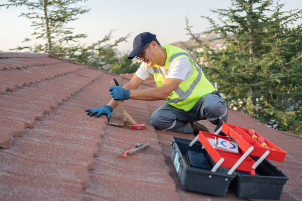 Best Storm Damage Roof Repair  in Colfax, IA